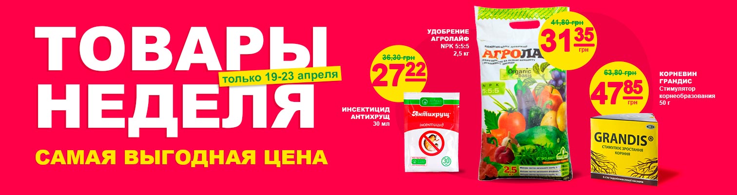 ������ ������ �� �������� ����!