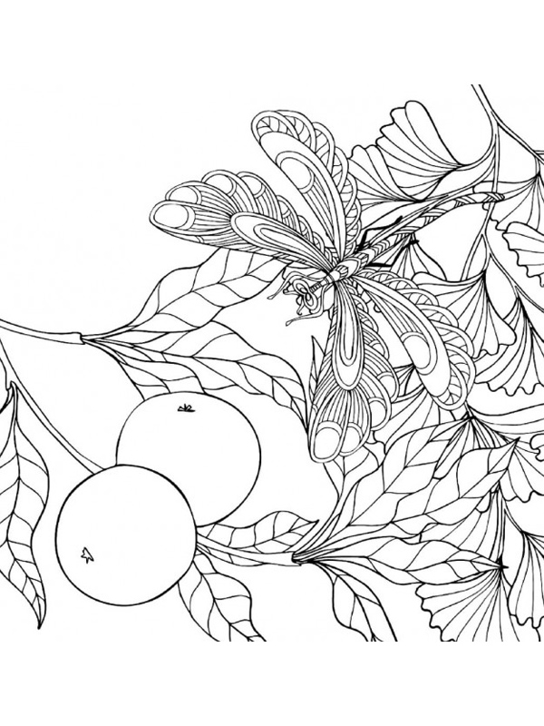 - Floral designs 200200  36  19173