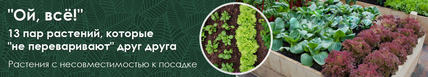 ", !" 13  ,  " "   (    )