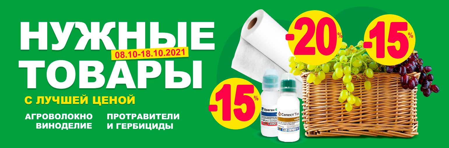 ����������� ������ �� ������ ����!