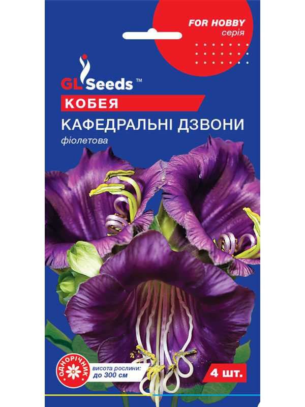     GL Seeds 4 
