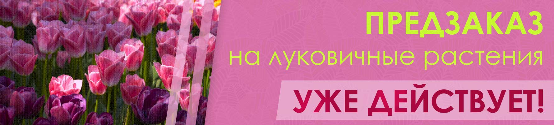 ��������� �� ���������� �������� ��� ���������!