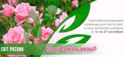 ����� ������ ����?