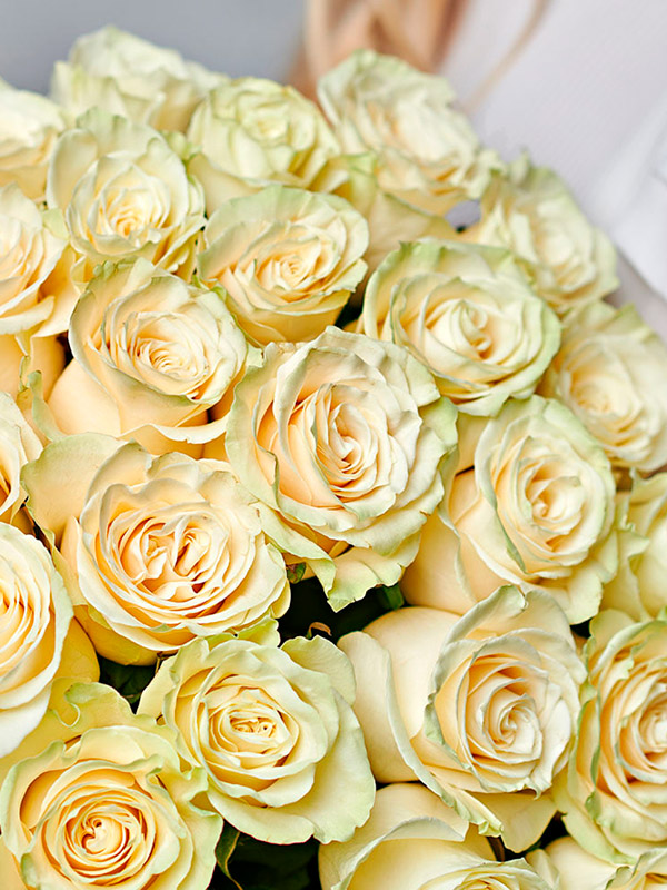 ���� ������ �������� (Yellow Mondial) �����-���������