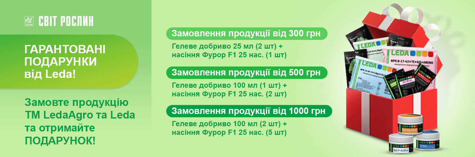 ����������� ��������� �� LEDA