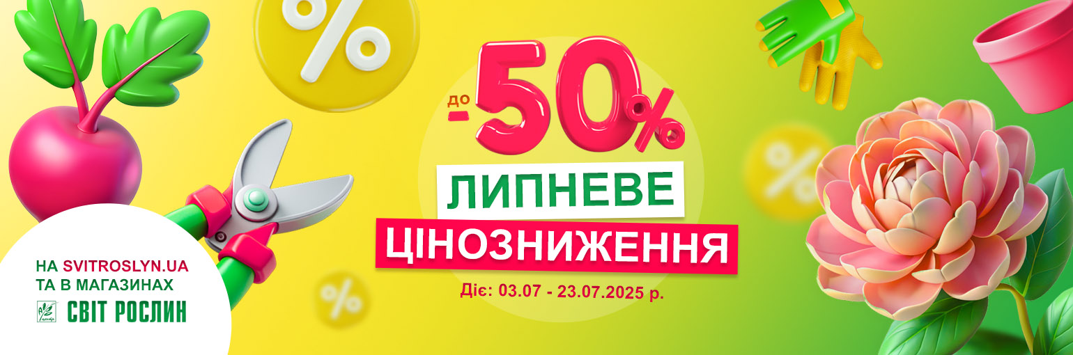    -50%