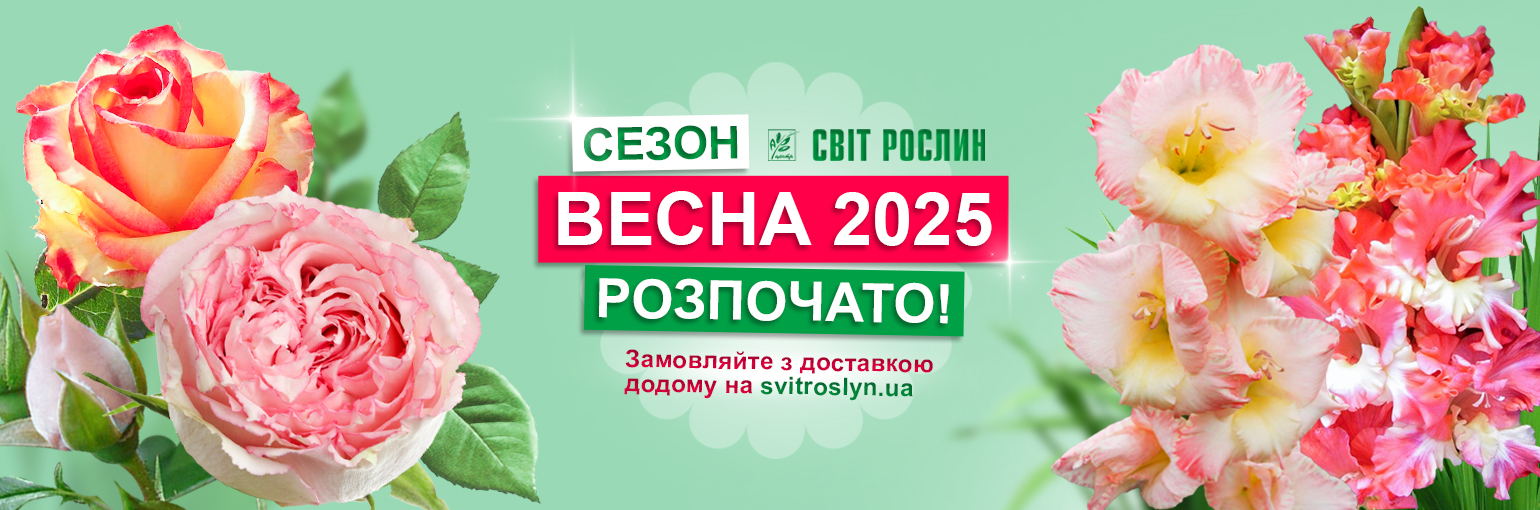 Начинаем новый сезон Весна 2025 Начинаем новый сезон Весна 2025