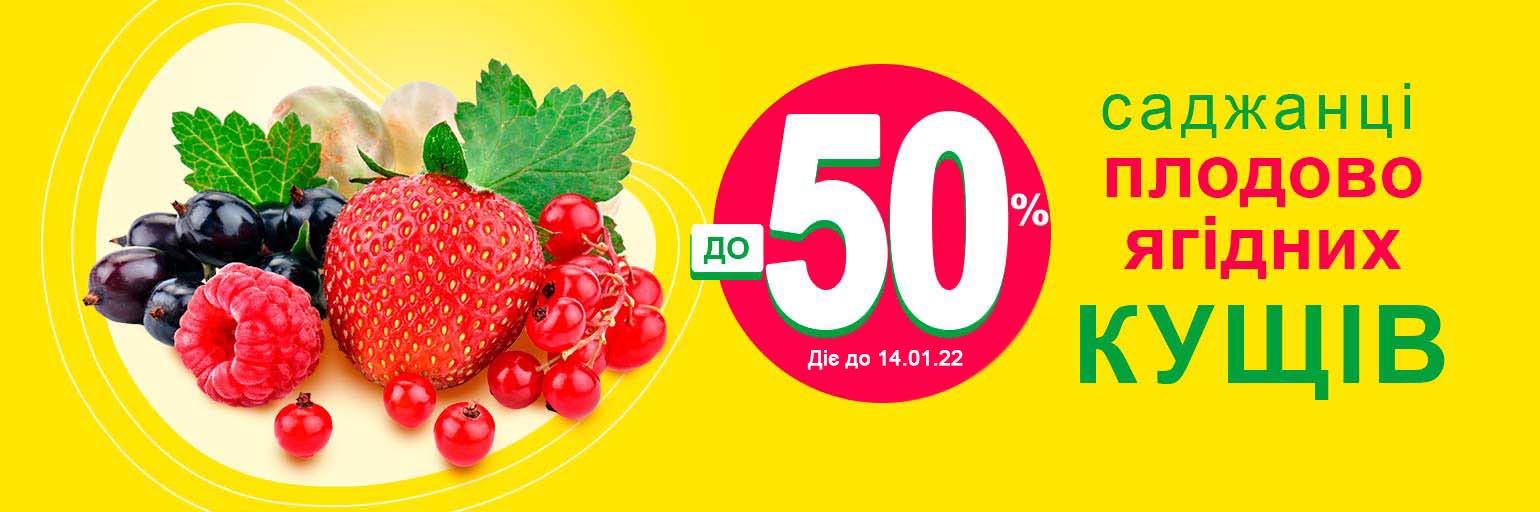 Распродажа саженцев плодовых кустарников до -50%
