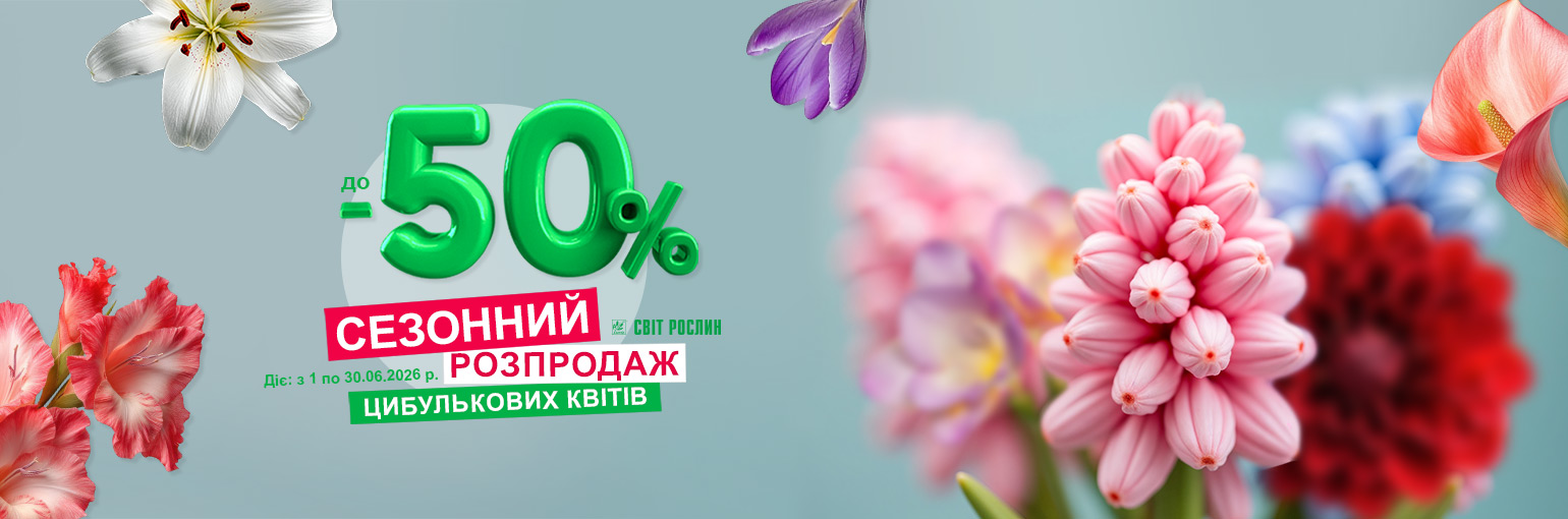 �������� ��������� ���������� ���� � ������ �� -50% 