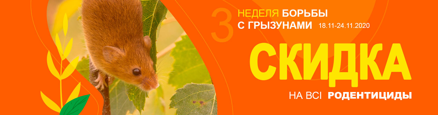 -30% �� ��������� ��� ������ � ���������