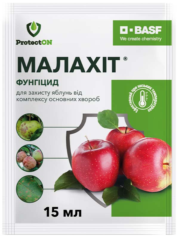 ������� ������� 15 �� 