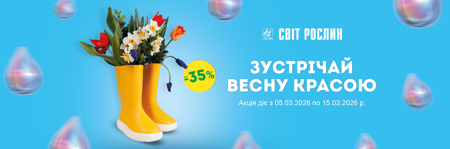 �������� ����� ������