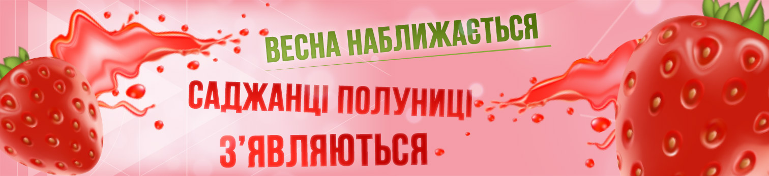 ����� ����������� � ������� �������� � ������ ����������!