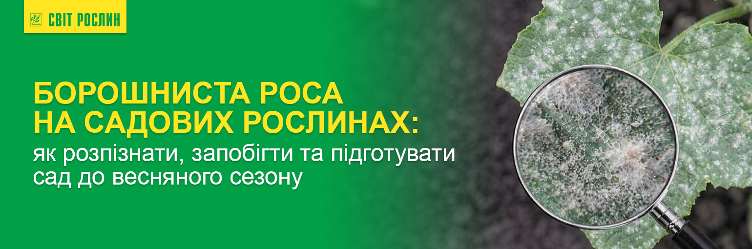 ��������� ���� �� ������� ���������: ��� ����������, ������������� � ����������� ��� � ��������� ������