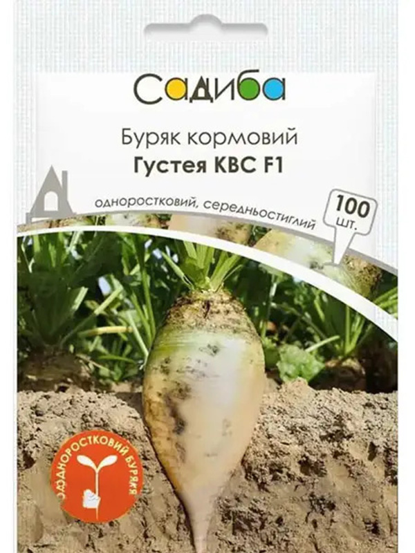 ������ ����� �������� ������ ��� F1, 100 ��., ������