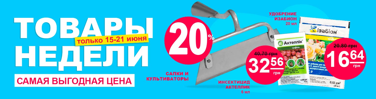 ����� ������ �� ������� -20%