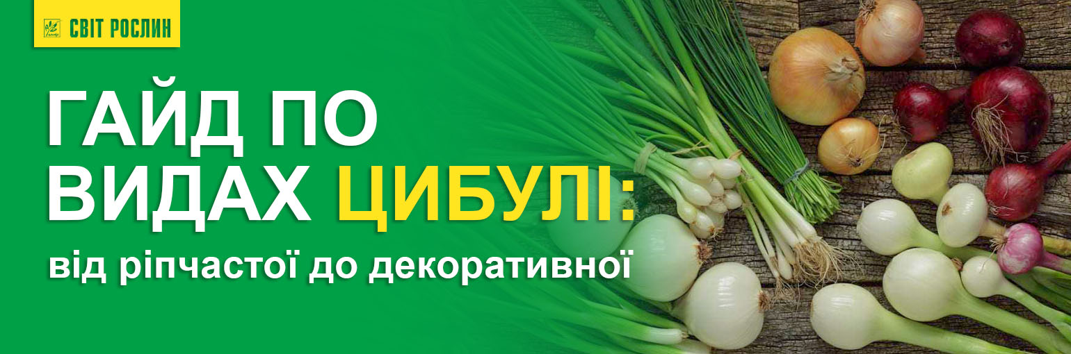 Бытовая химия TORTILLA, Mister LEMON, TURBO KROT со скидками до -30% Бытовая химия TORTILLA, Mister LEMON, TURBO KROT со скидками до -30%