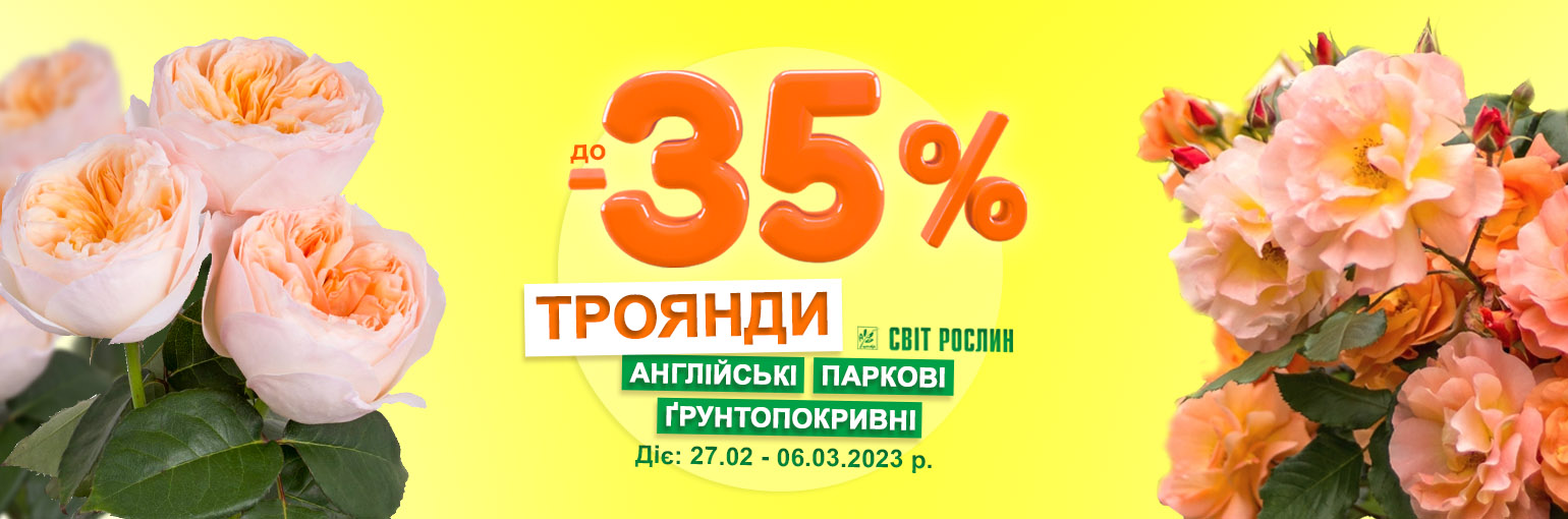 !  -35 %   ,    