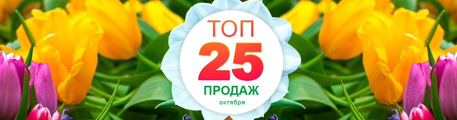 ТОП-25 продаж октября