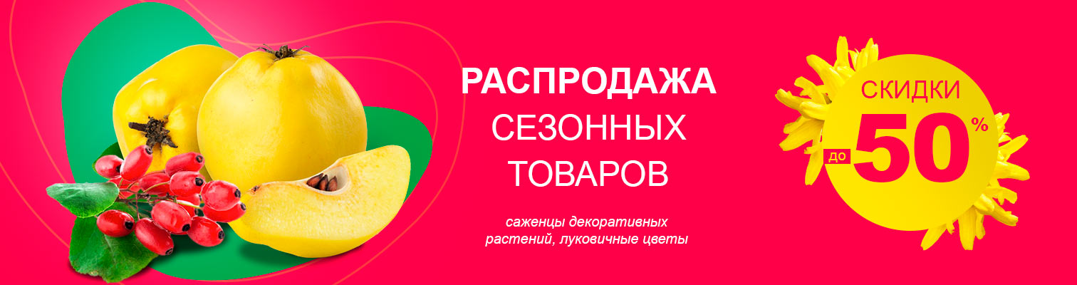 ���������� �������� ������� �� -50%!