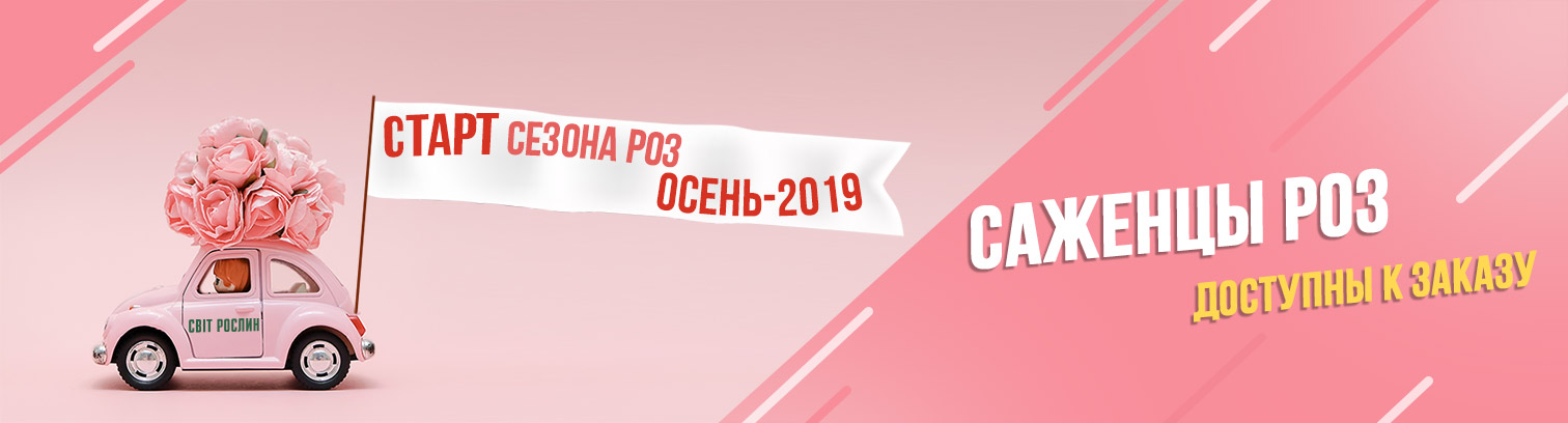 ������� ��� ��������� � ���� ����� ���������