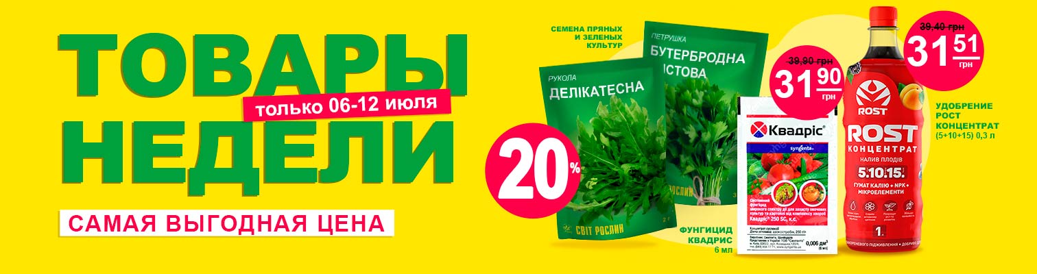 ��������� ����������� �� �������� ����