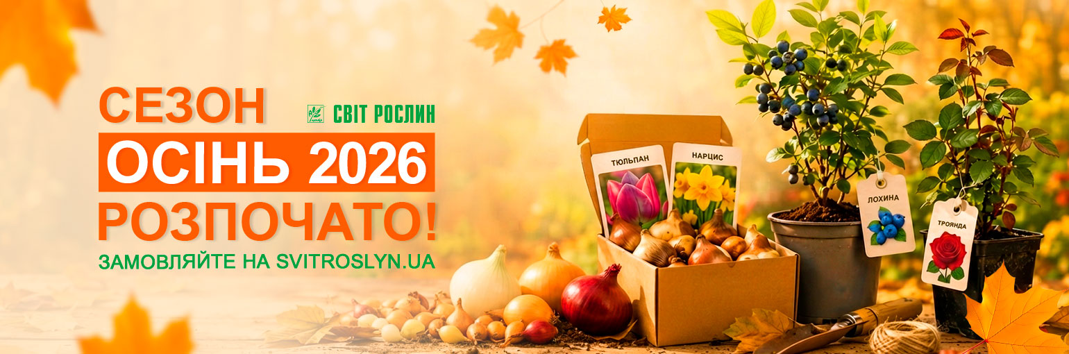 ���� 2026 � ����� ���������!