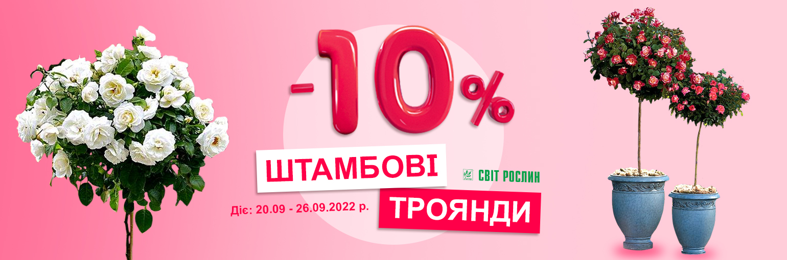 -10% на штамбовые розы -10% на штамбовые розы