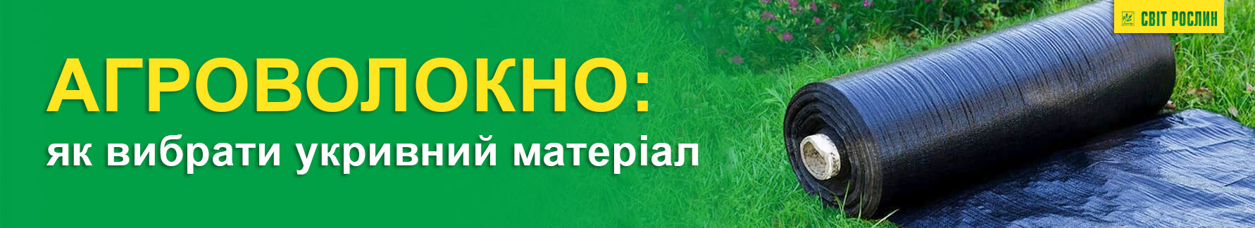 Агроволокно: как выбрать укрывной материал Агроволокно: как выбрать укрывной материал