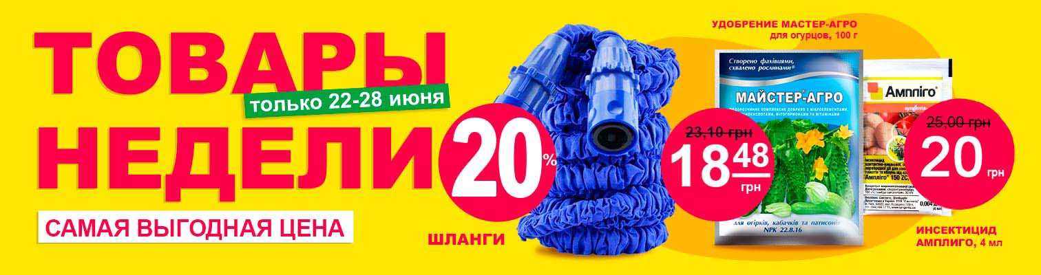 ��������� ����������� �� ������� -20%