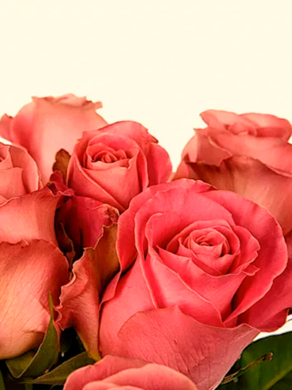 ������� ������� (Hermosa) �����-�������