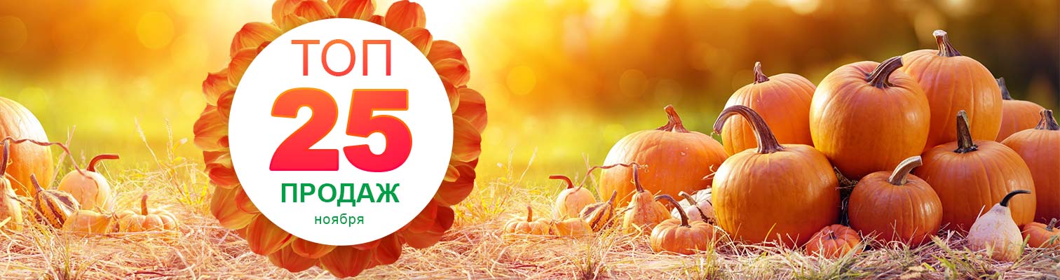 ���-25 ������ ������