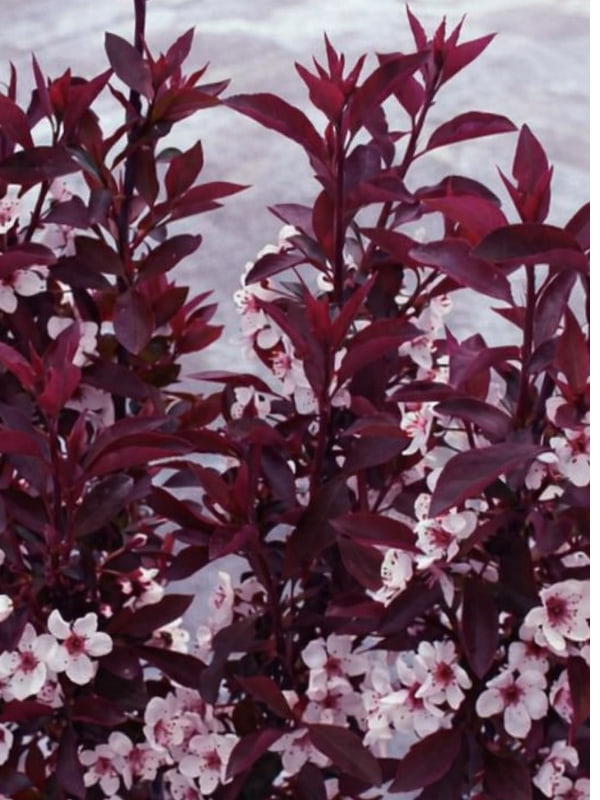 ����� ������������� �������� 160-200 ��