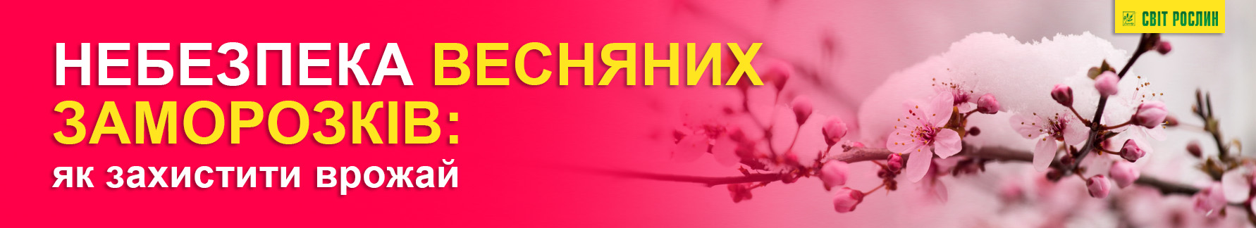 Опасность весенних заморозков: как защитить урожай Опасность весенних заморозков: как защитить урожай
