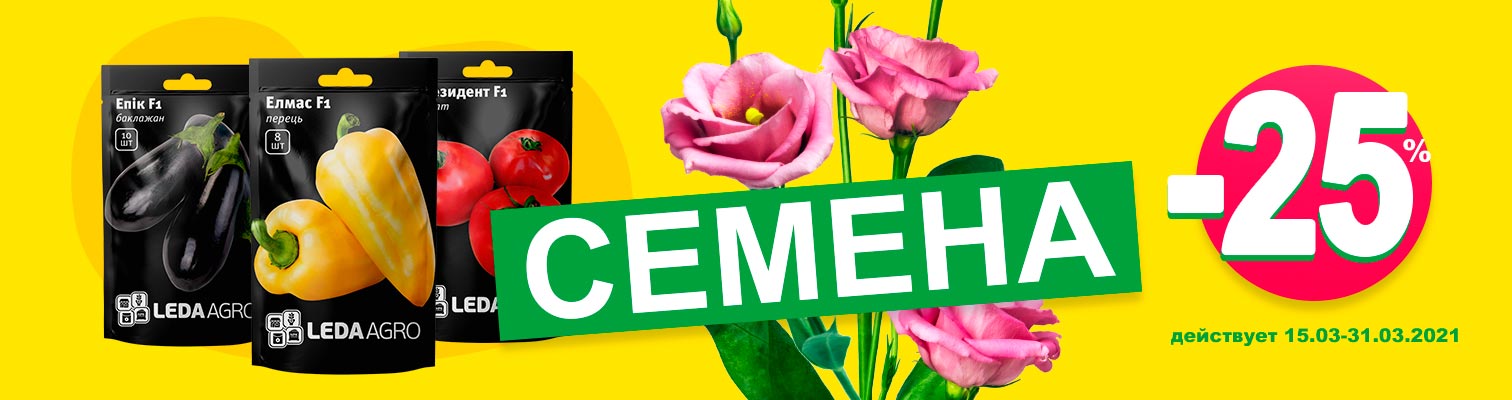 ��������� ������ �� ������� -25%!