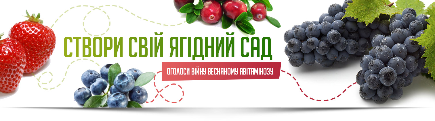 ��������� ���� ������������� ���! ������� ����� �������� � �������� ����������!