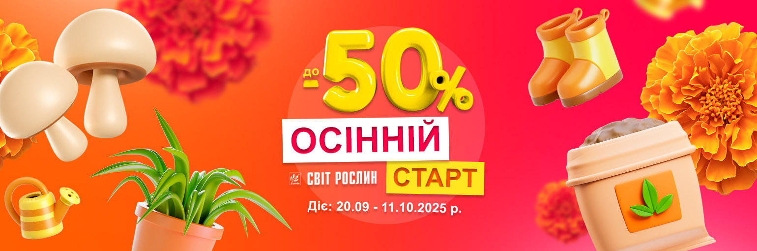    -50%