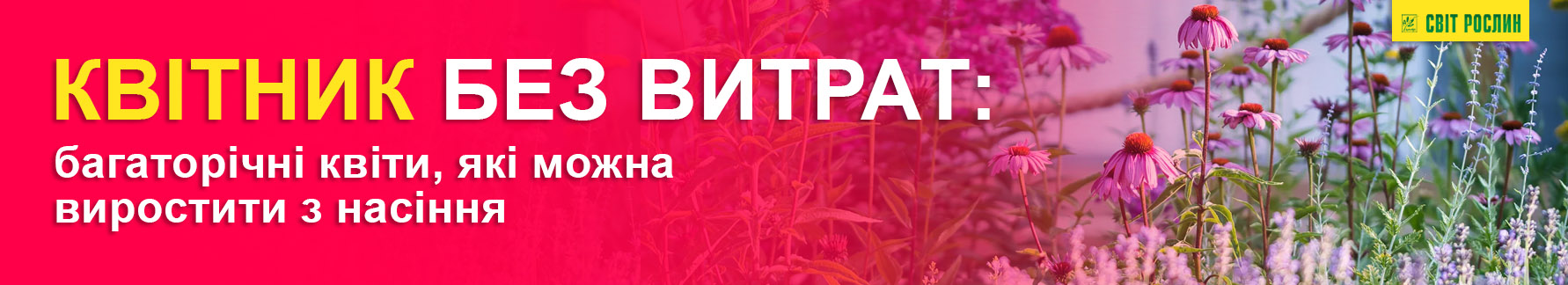 Цветник без затрат: многолетние цветы, которые можно вырастить из семян Цветник без затрат: многолетние цветы, которые можно вырастить из семян