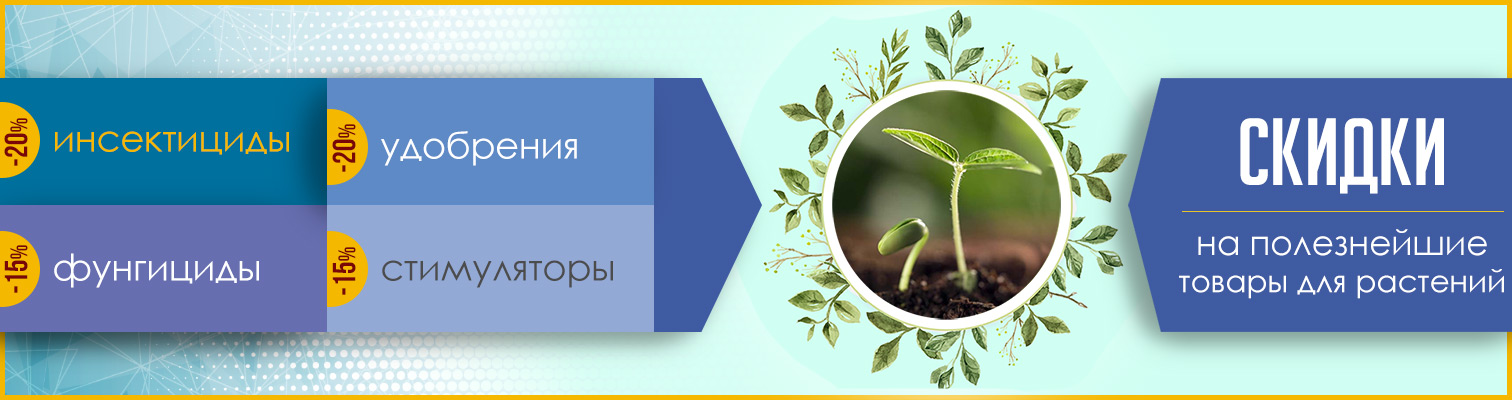 ������� �� ������� ������� ������