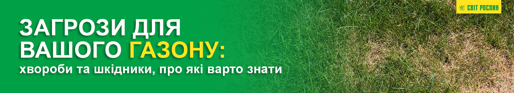 Угрозы для вашего газона: болезни и вредители, о которых стоит знать Угрозы для вашего газона: болезни и вредители, о которых стоит знать