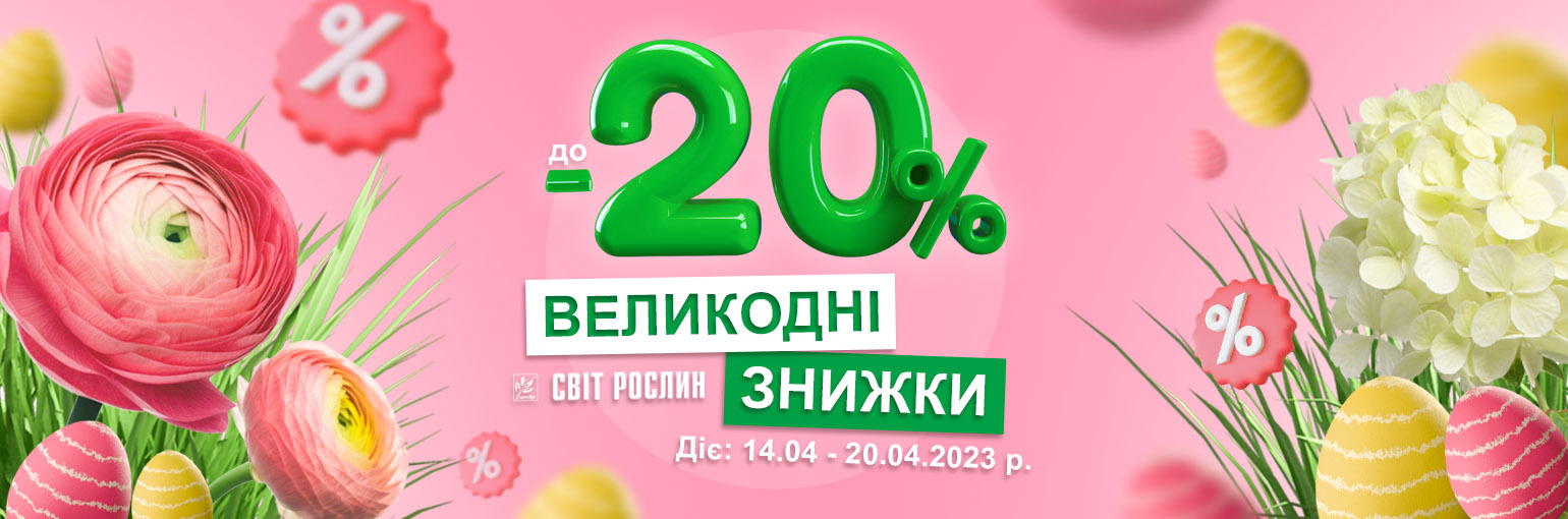    -20%