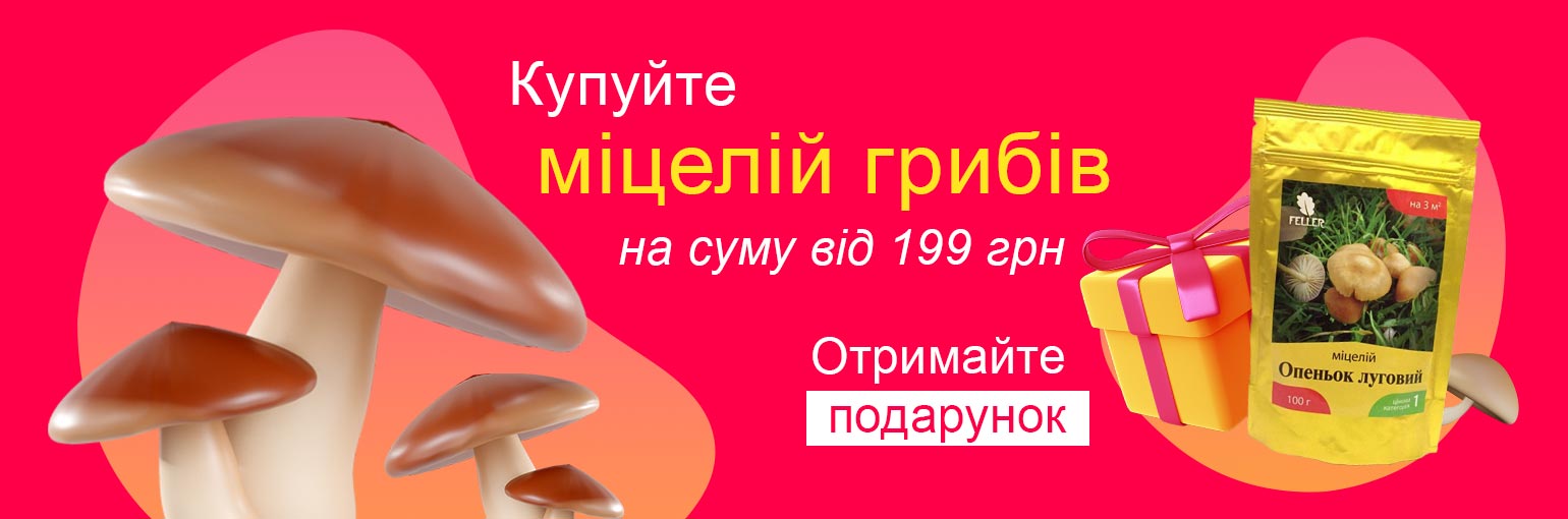 ������� ������ ������� � �������