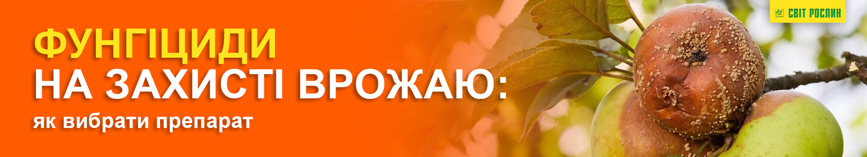 Фунгициды на защите урожая: как выбрать препарат Фунгициды на защите урожая: как выбрать препарат