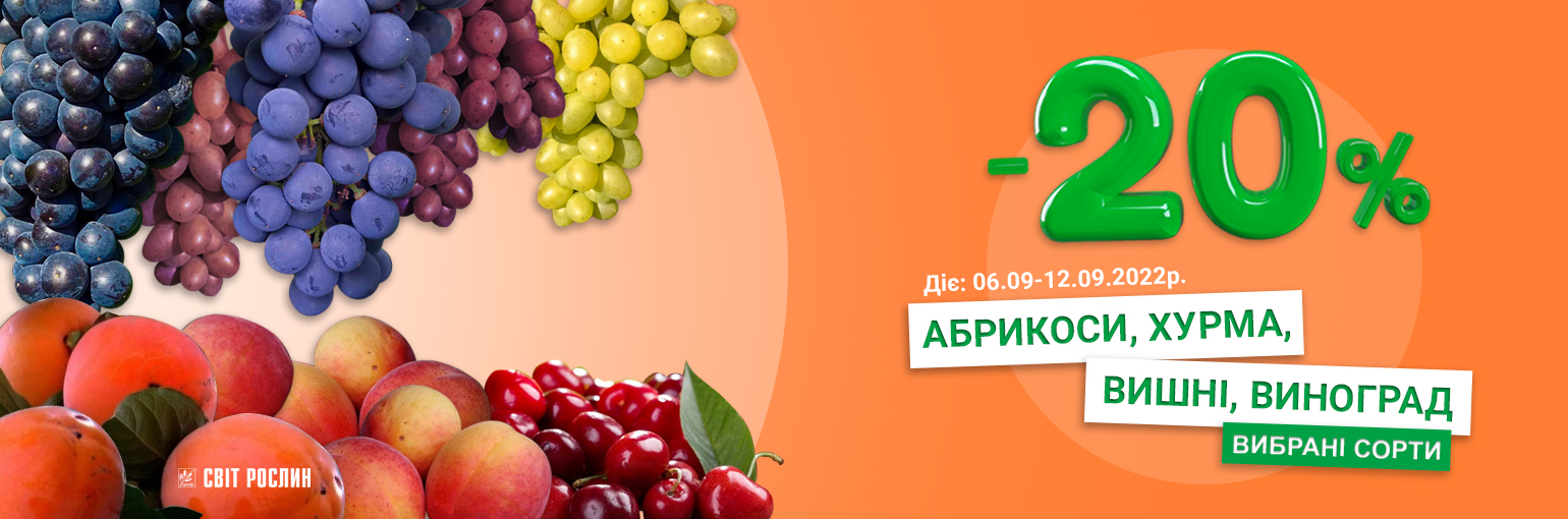 -20% на саженцы абрикоса, хурмы, вишни та винограда -20% на саженцы абрикоса, хурмы, вишни та винограда