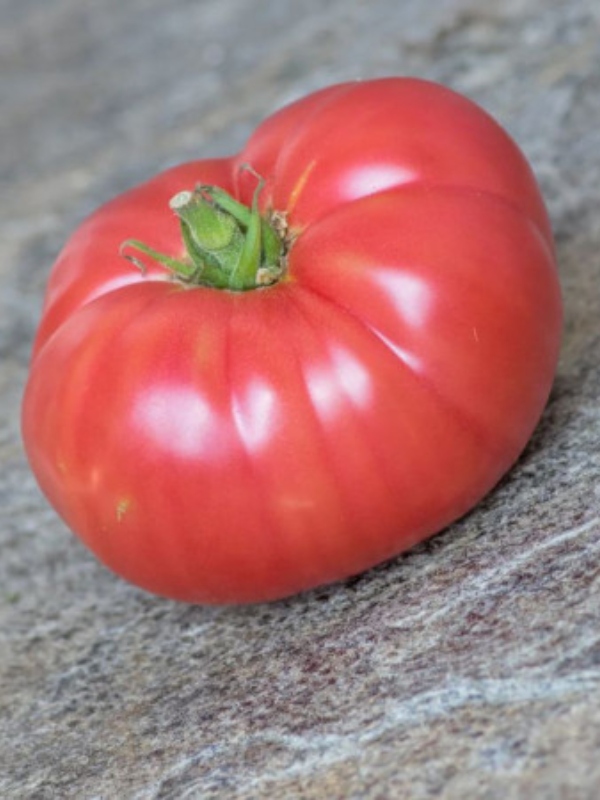 ������ ����� ��������� ������� 10 ��� ��