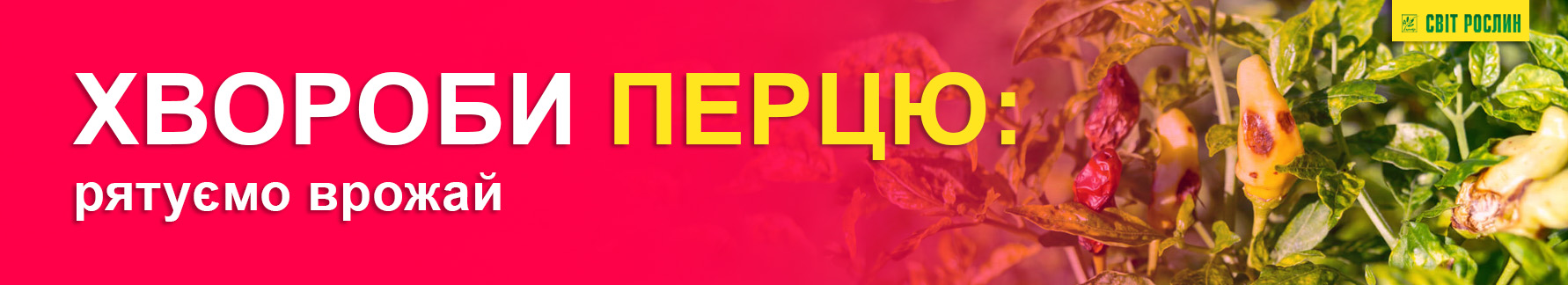 Болезни перца: спасаем урожай Болезни перца: спасаем урожай