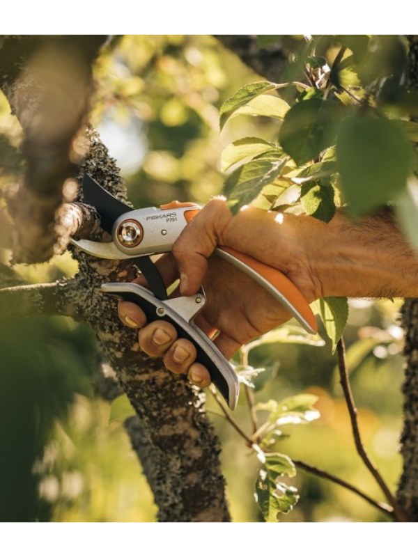 ������� ����������� ������������������� Fiskars Plus P751 (1057172)