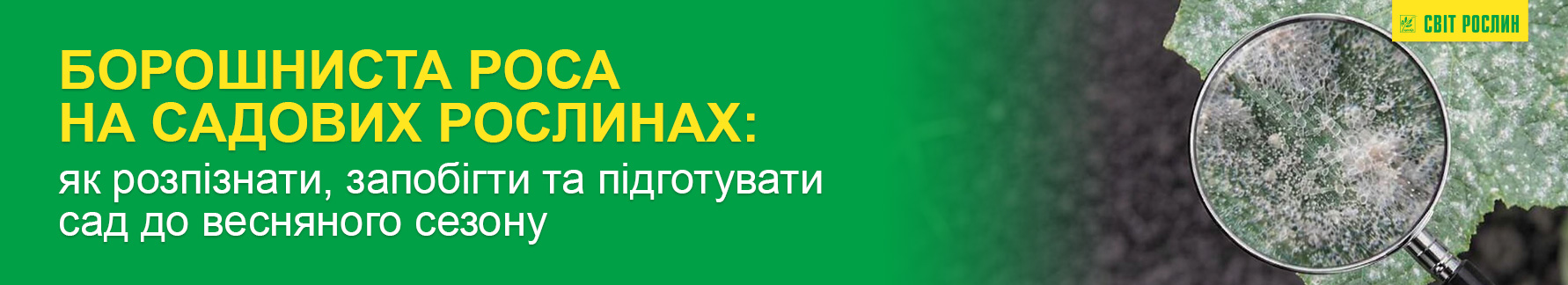 ��������� ���� �� ������� ���������: ��� ����������, ������������� � ����������� ��� � ��������� ������