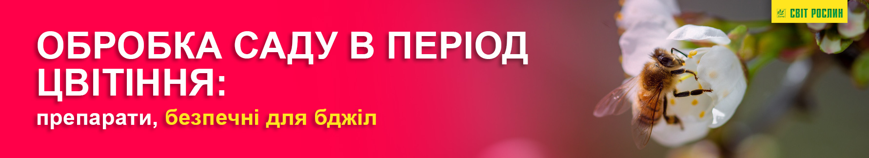 Обработка сада в период цветения: препараты, безопасные для пчел Обработка сада в период цветения: препараты, безопасные для пчел
