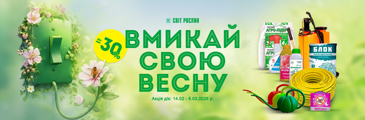 ������ ���� ����� 